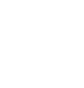 Leapfrog.cl