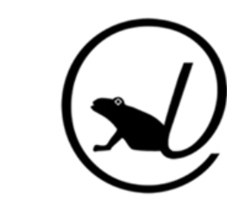 Leapfrog Estrategias digitales